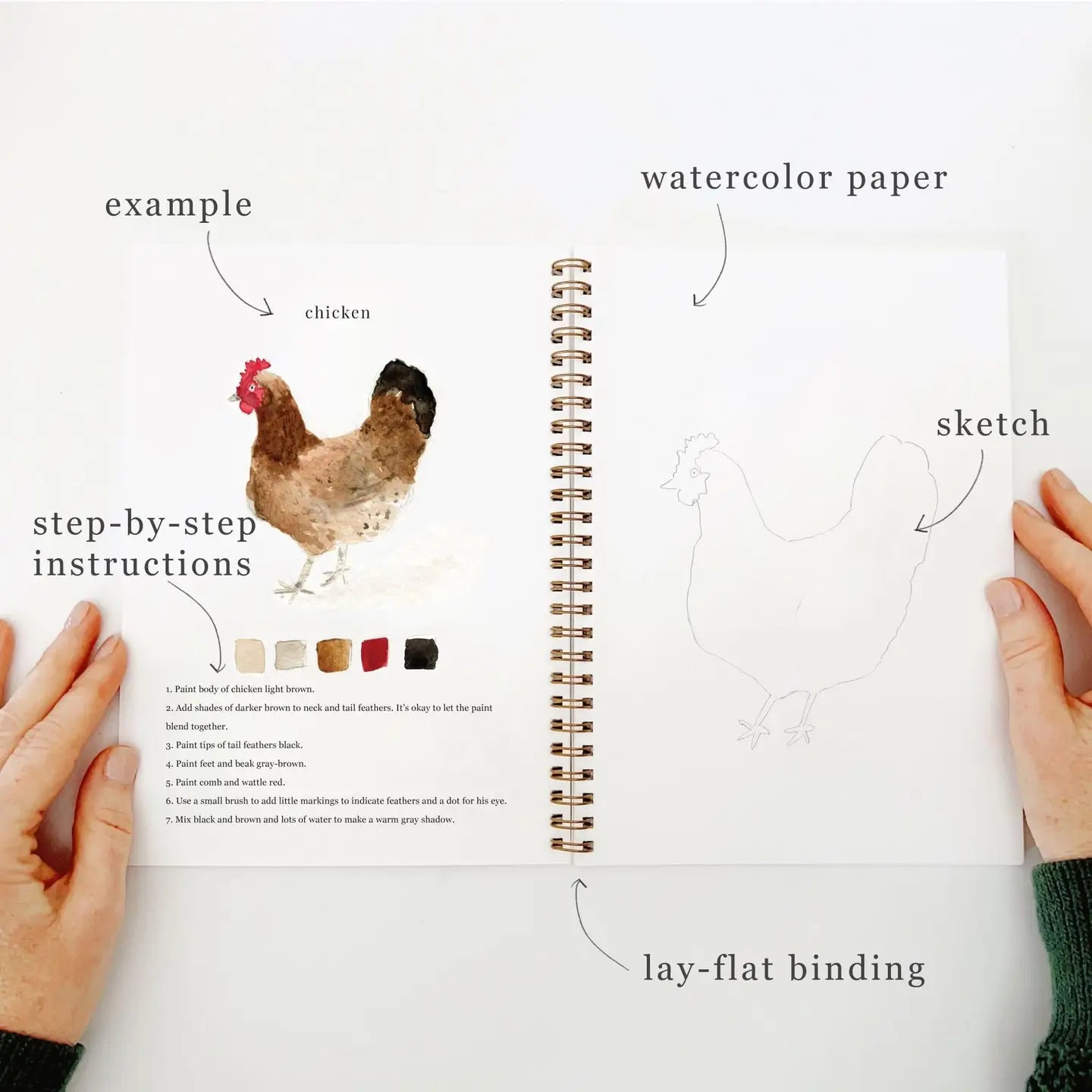 Animal Watercolor Workbook