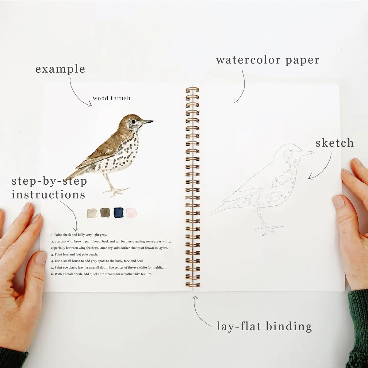 Bird Watercolor Workbook