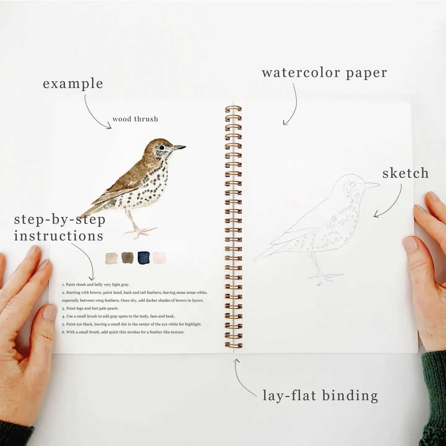 Bird Watercolor Workbook